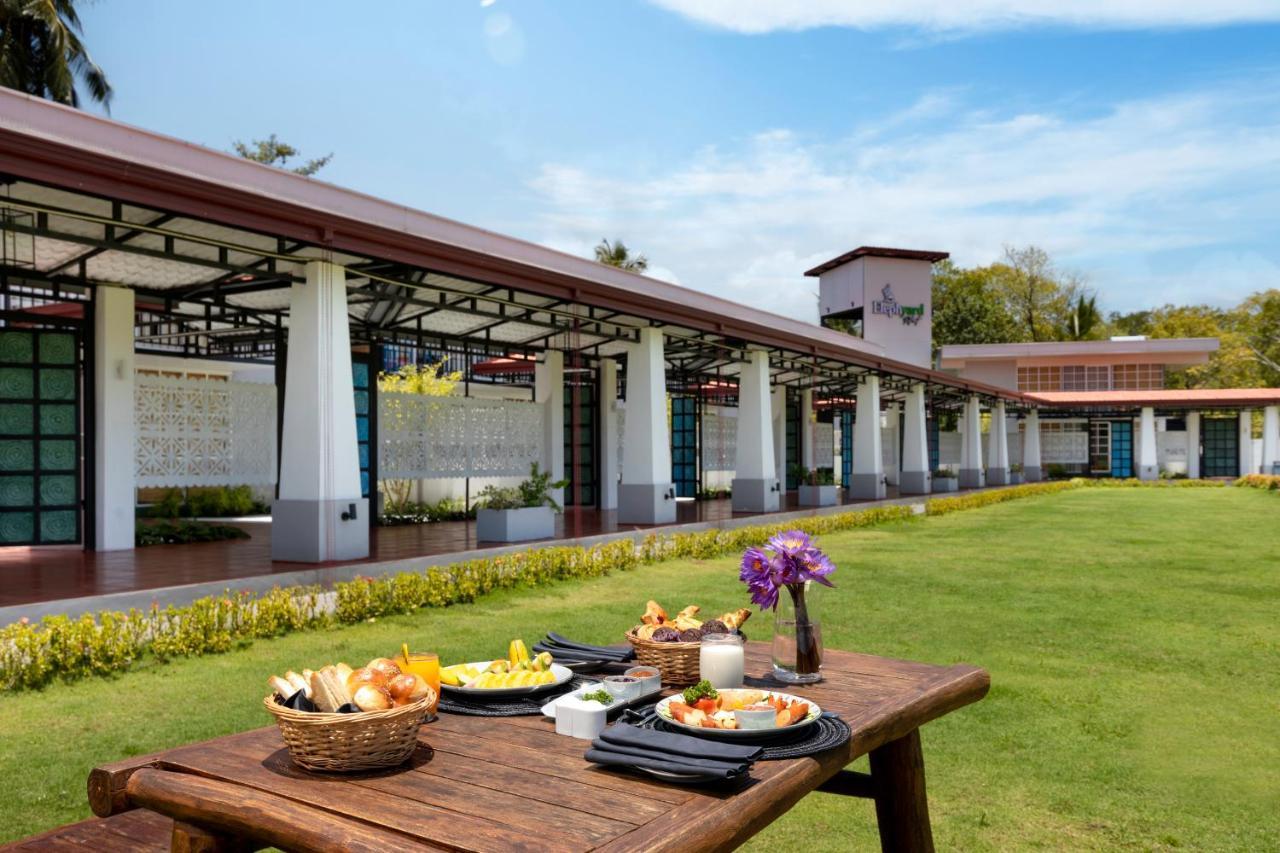 Elephyard Retreat Hotel Махиянгана Екстериор снимка